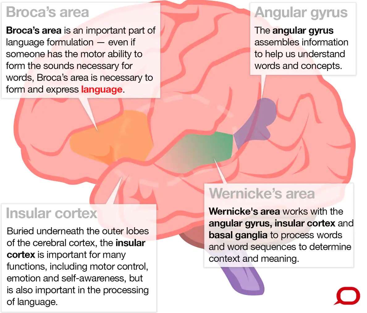 language centers in the brain