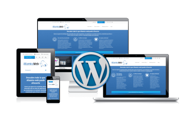 WordPress website