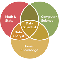 Data Analyst