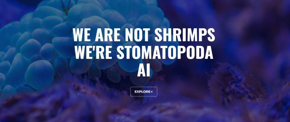 stomatopoda AI