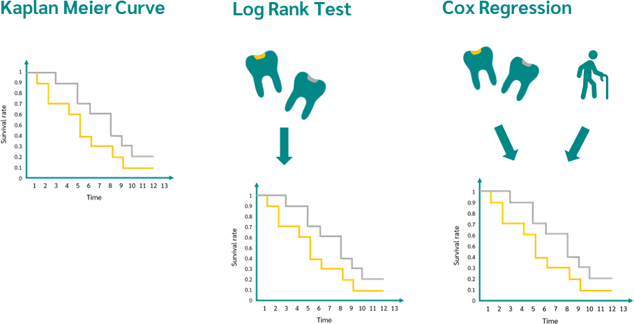 Survival Analysis